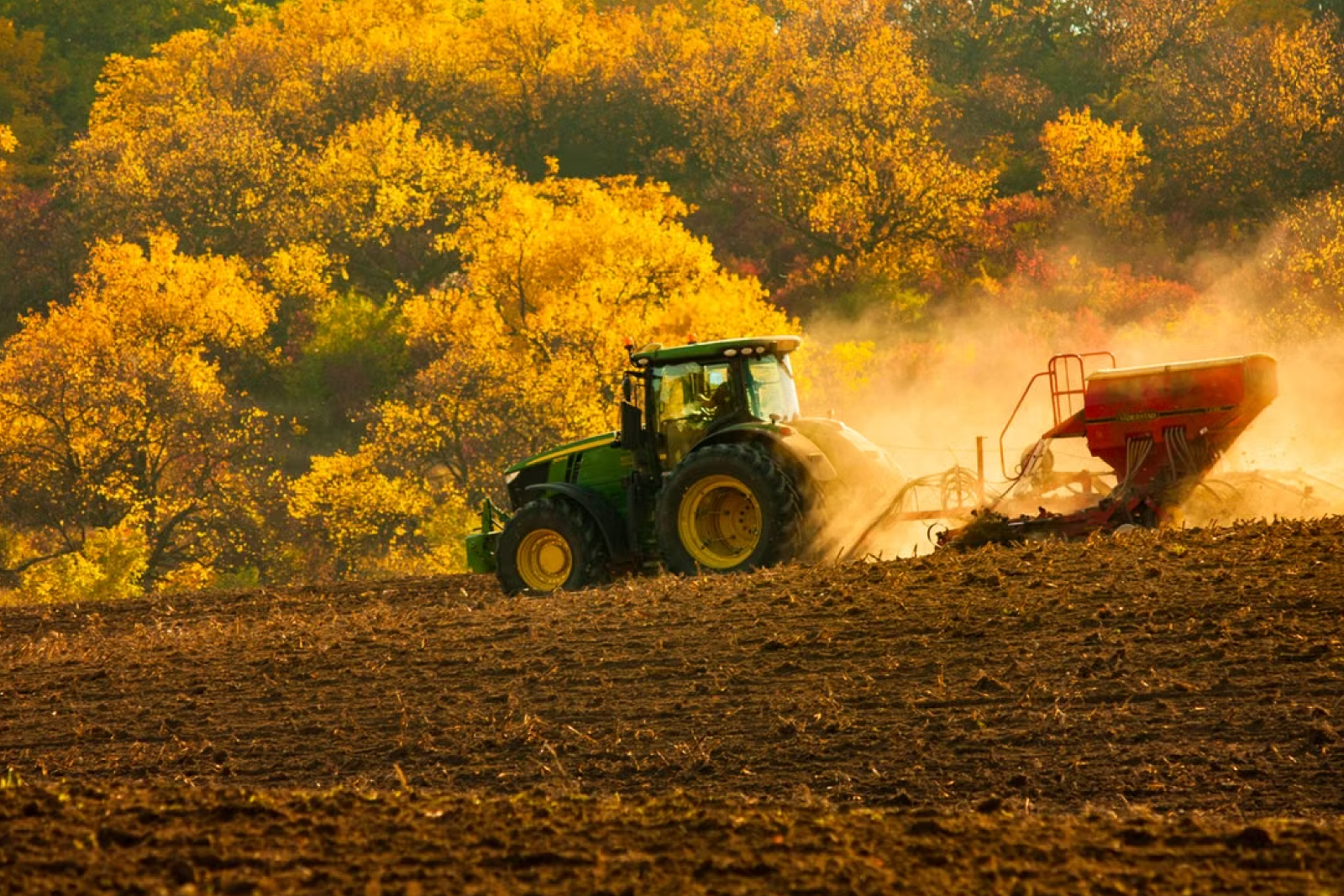Agriculture and crop farming on Molekwa Community land