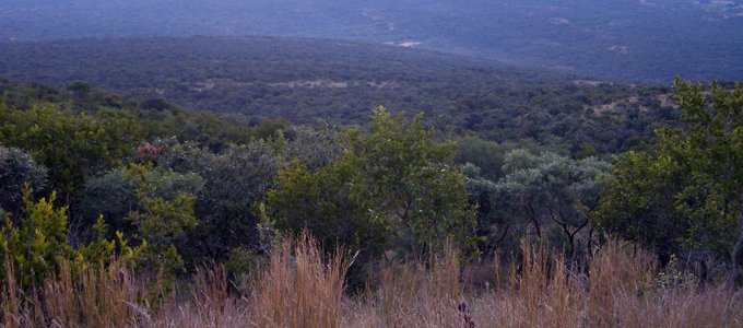Molekwa Community land, Waterberg, Limpopo